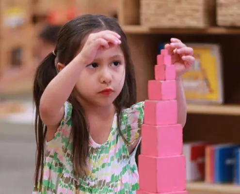 3K4A3156 a child engaged in a Montessori botany activity, learning about plant parts